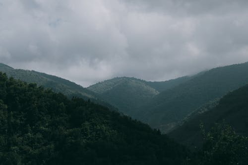 Immagine gratuita di cloud, colline, foresta