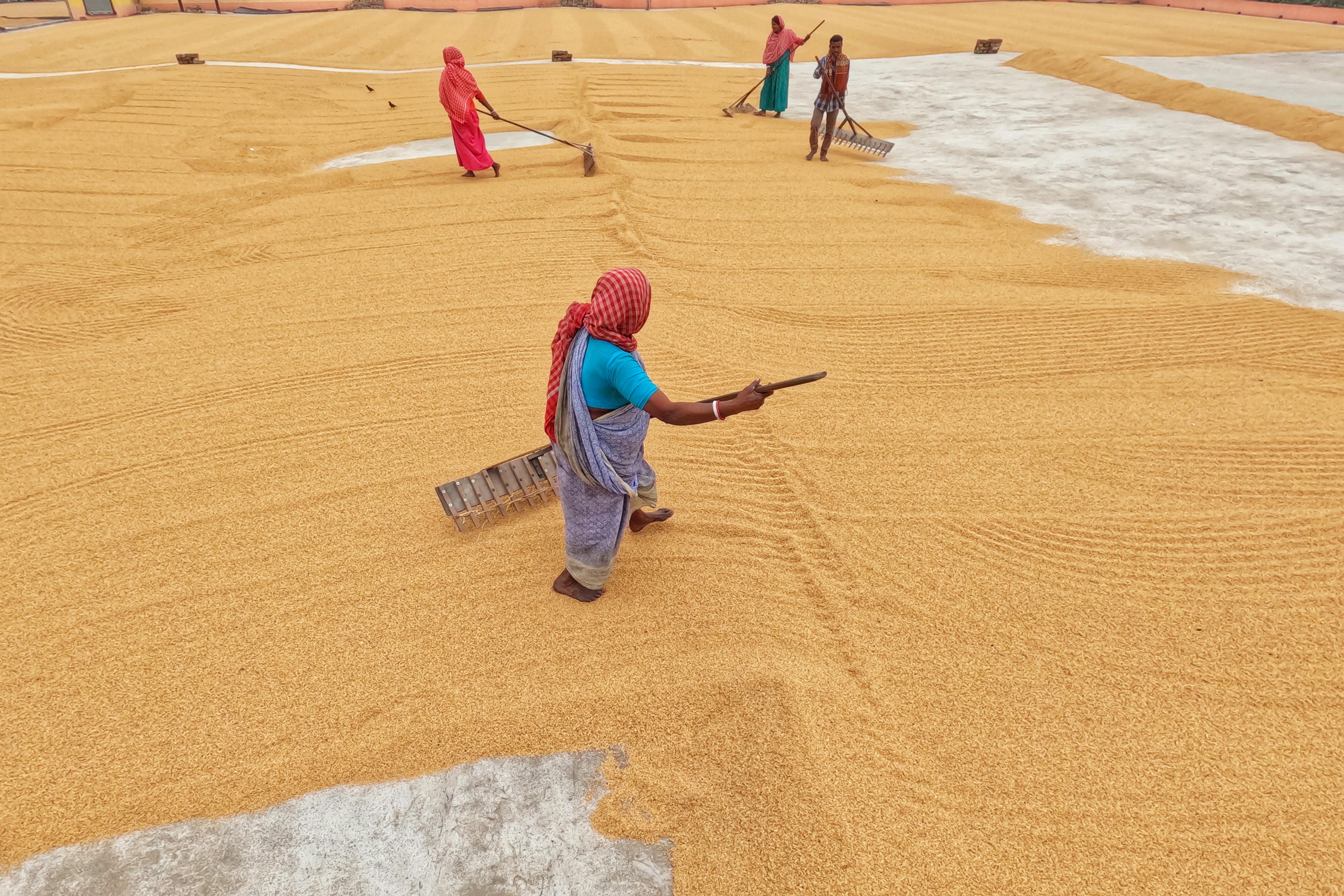 India Needs To Work More To Reduce Working Hours | The Reason Why — Photo by Dibakar Roy on Pexels