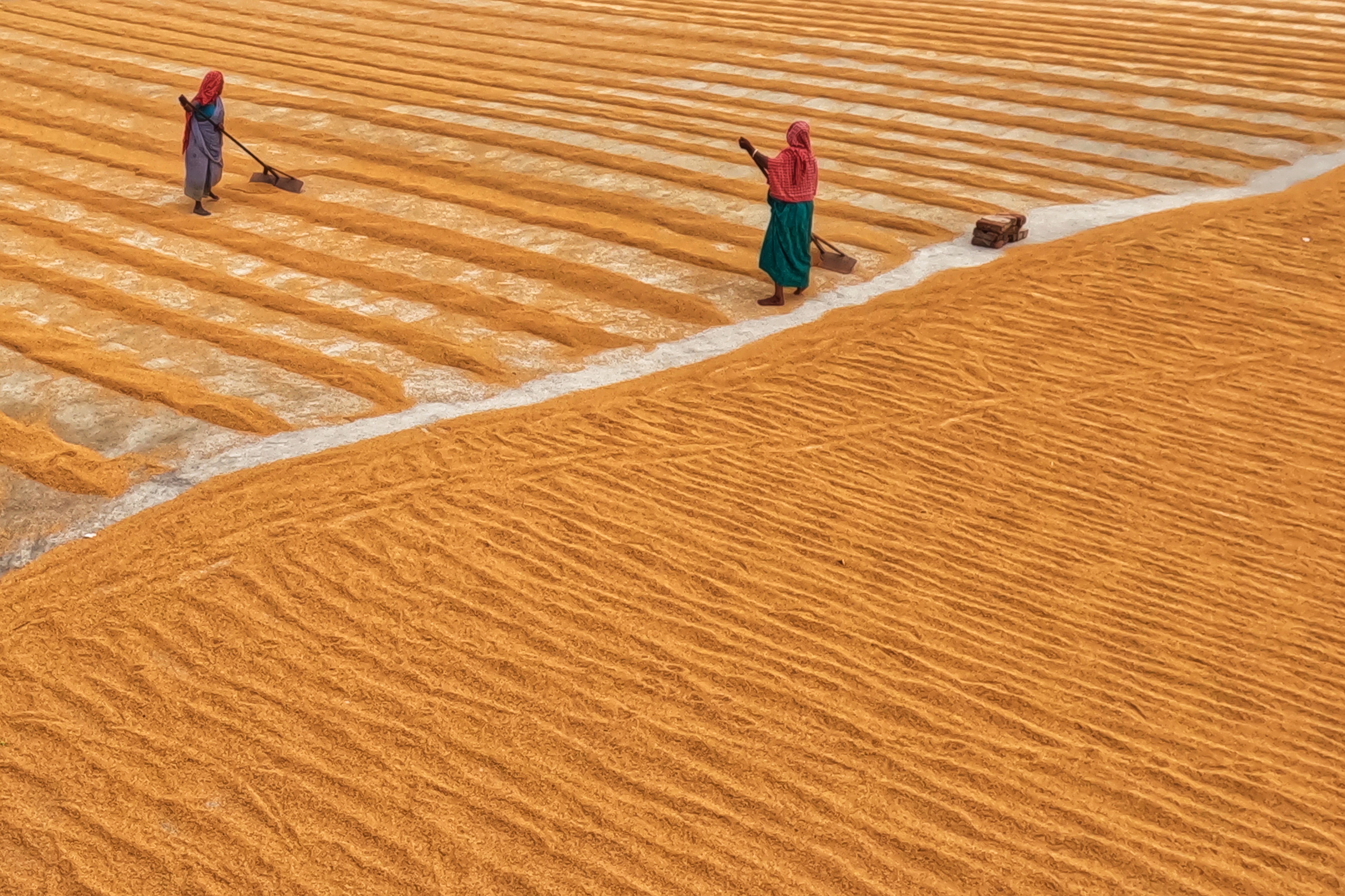 Rice Spread Across the Square with Rakes · Free Stock Photo