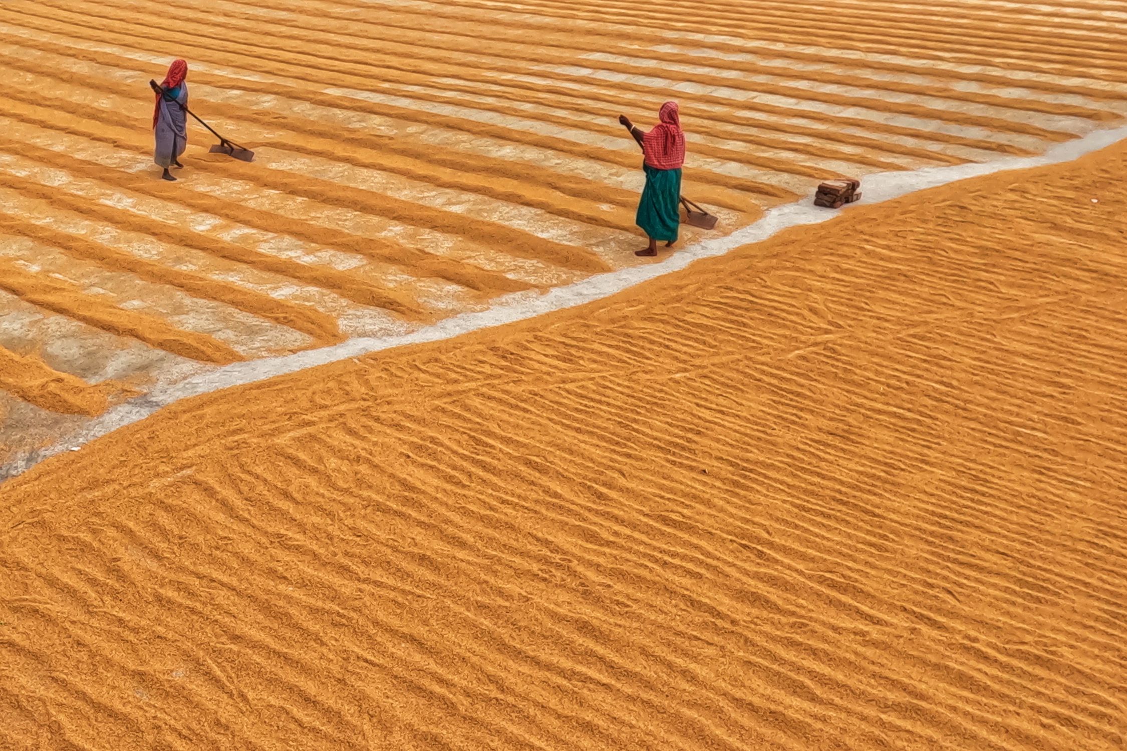 Rice Spread Across the Square with Rakes · Free Stock Photo