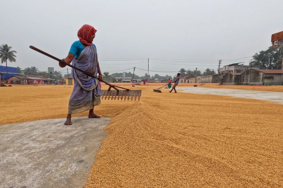 West Bengal's Rs 3,000 Monthly 'Annapurna Yojana'