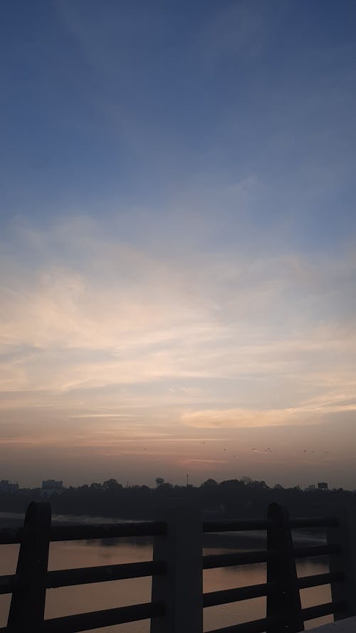 Fotos de stock gratuitas de amanecer, amanecer temprano, aves