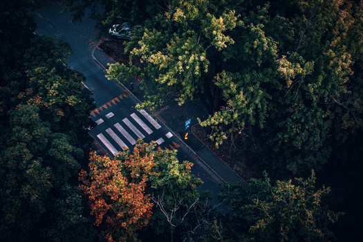 Aerial view of a crosswalk nestled in lush greenery, Osijek, Croatia.