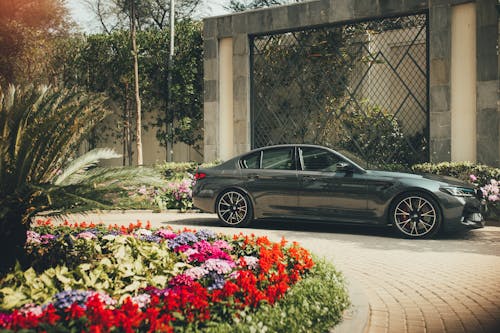 Gratis stockfoto met auto, bloemen, oprijlaan