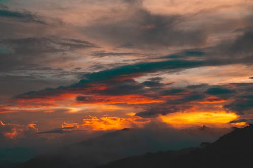 Foto d'estoc gratuïta de a l'aire lliure, alba, bonic