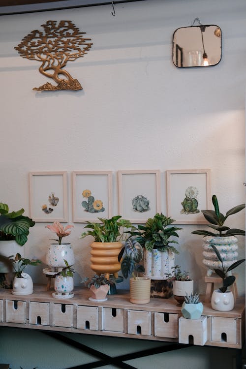 A room with plants and other items on display