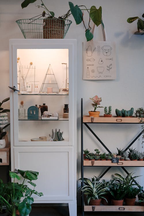 A plant shop with shelves and plants on the shelves