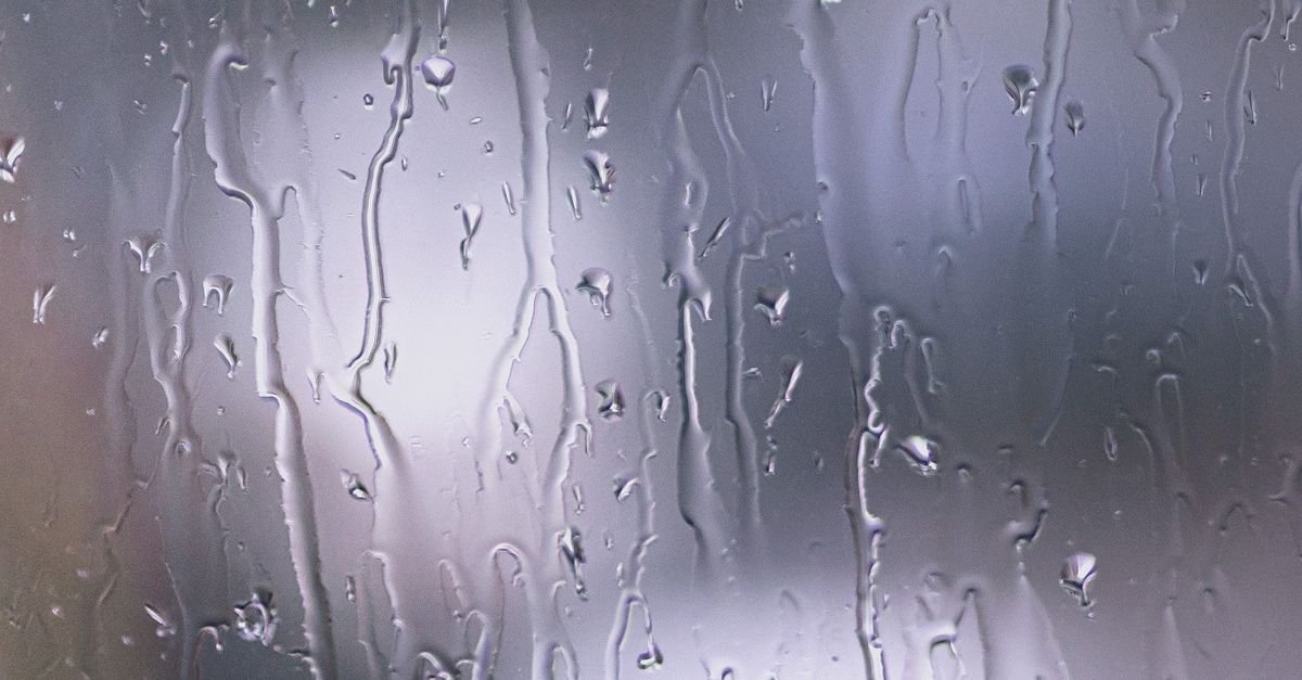 Windowpane Rain Window Pane in Rain · Free Stock Photo