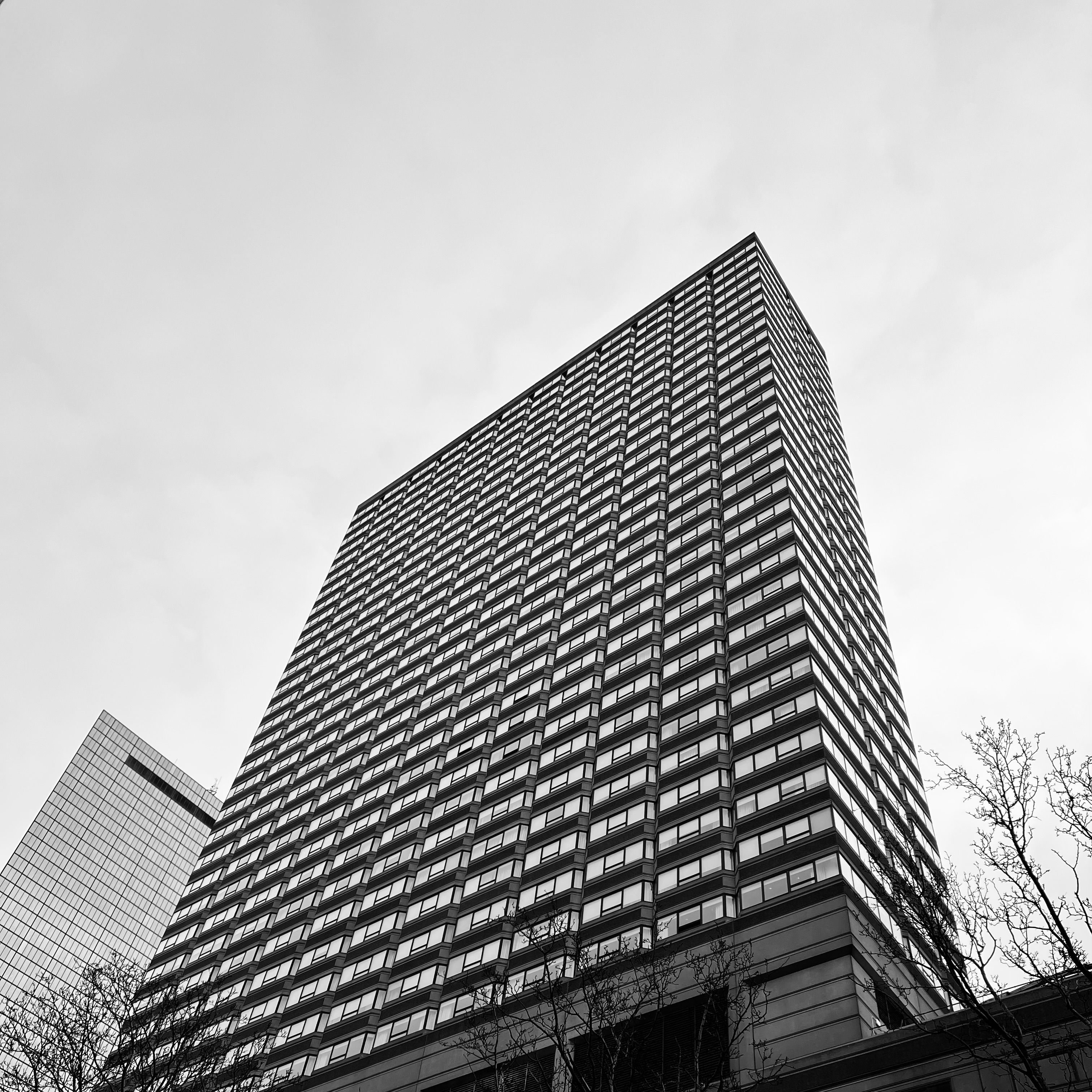 Skyscraper in Black and White · Free Stock Photo