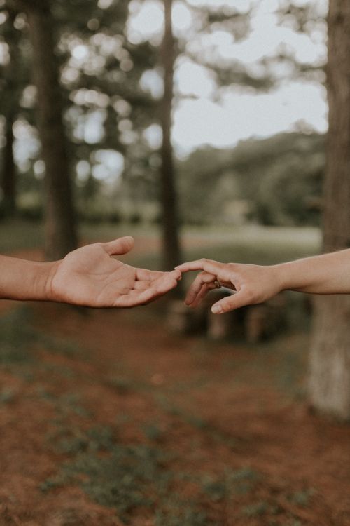 Free Two hands reaching out, symbolizing connection amidst a serene park backdrop. Stock Photo