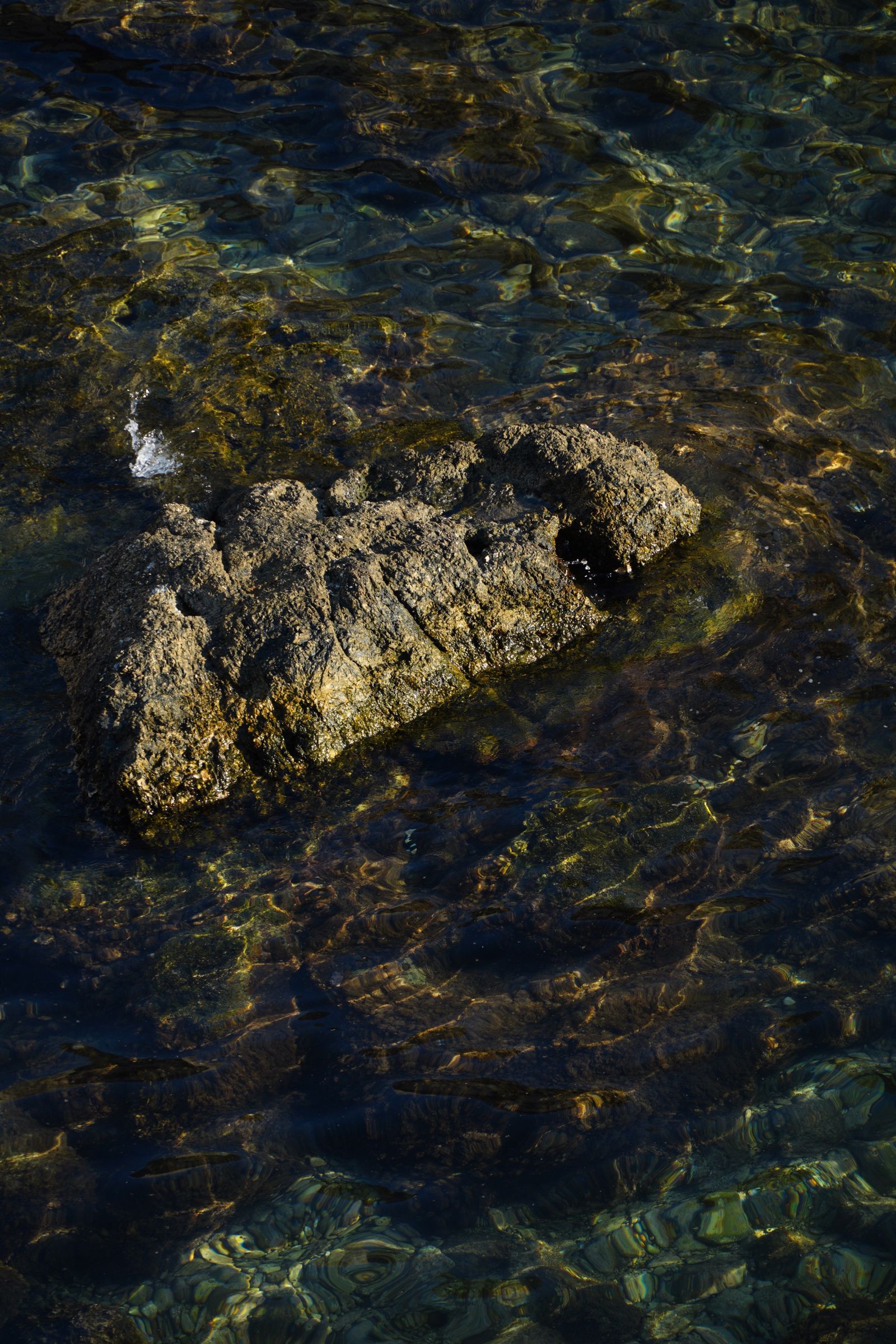 The tide pools at the spring low