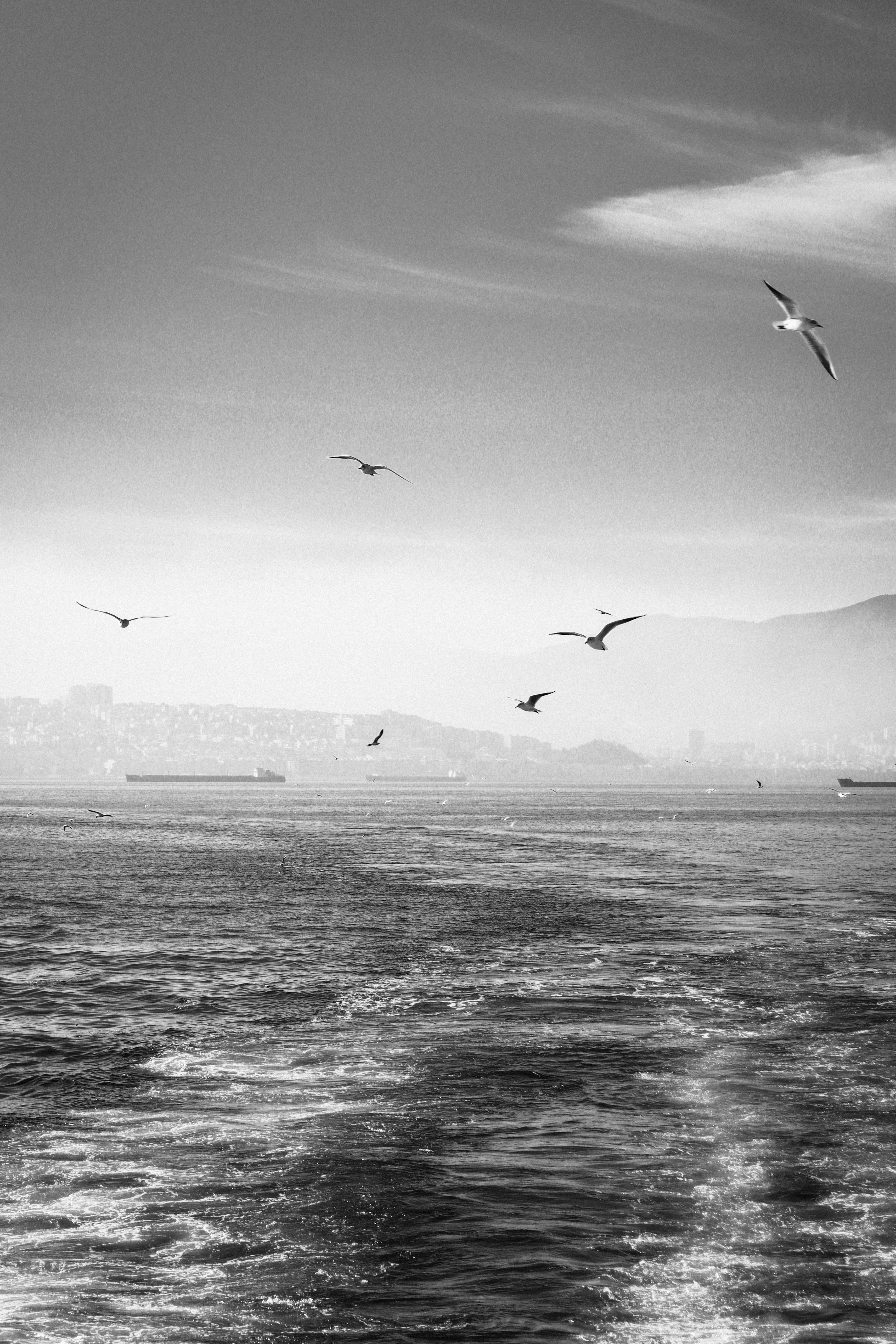 A monochrome image of seagulls flying gracefully above the ocean's surface.