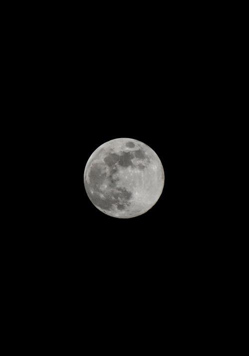 Free Detailed photograph of a full moon against a black night sky, emphasizing lunar features. Stock Photo