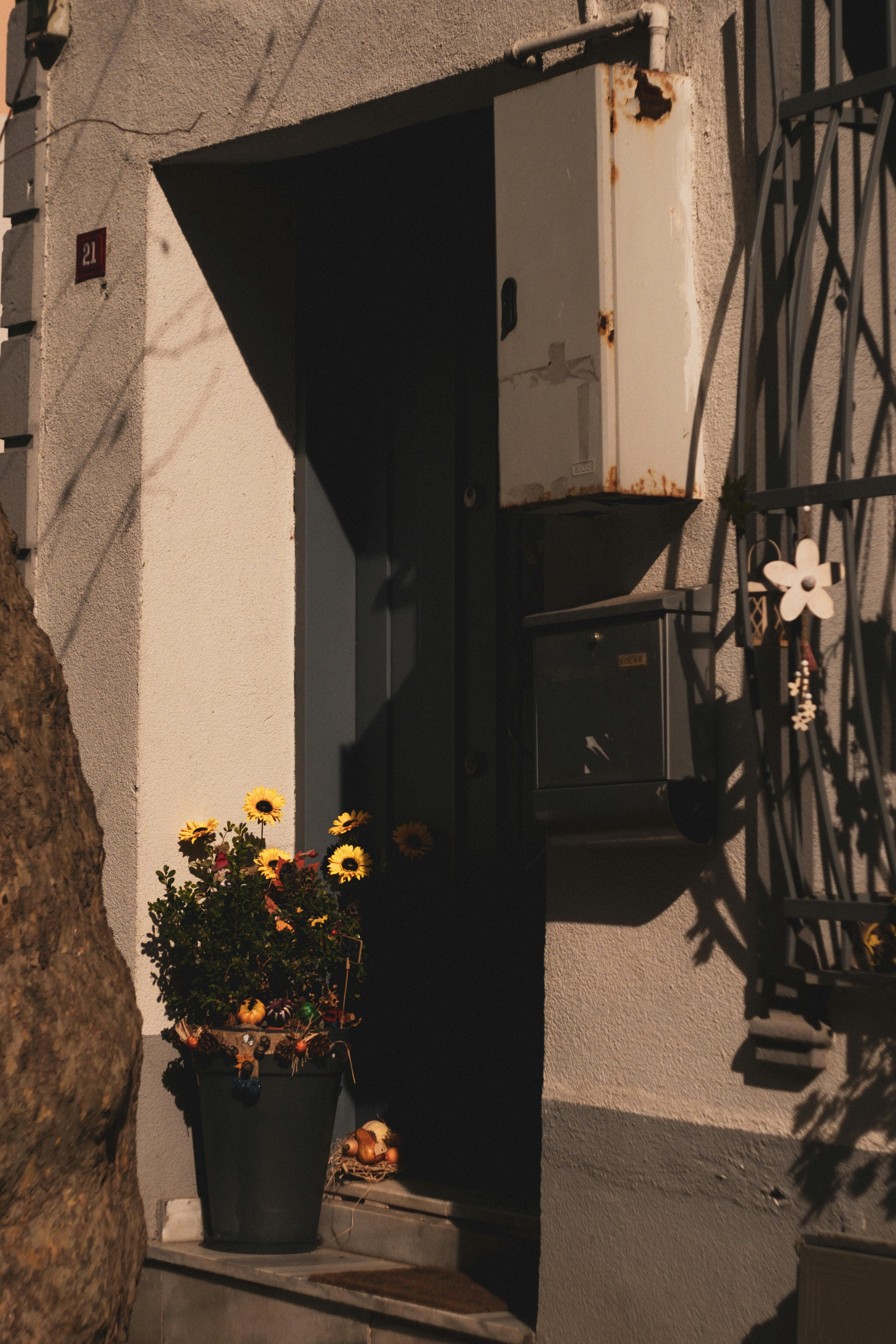 Gratis lagerfoto af årgang, arkitektur, blomster Lagerfoto