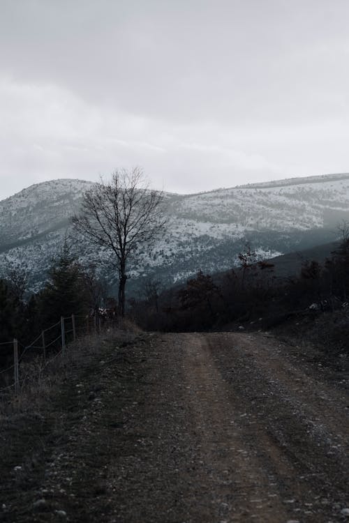 Dirt Road in Mountains