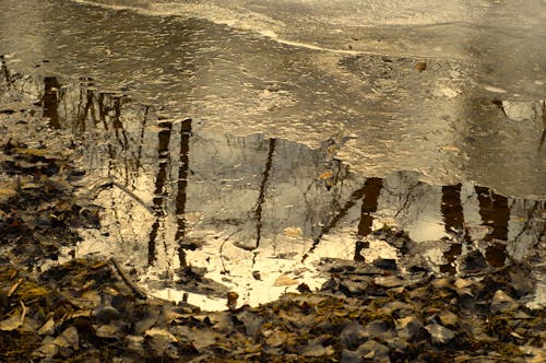 Základová fotografie zdarma na téma jaro, jezero, led