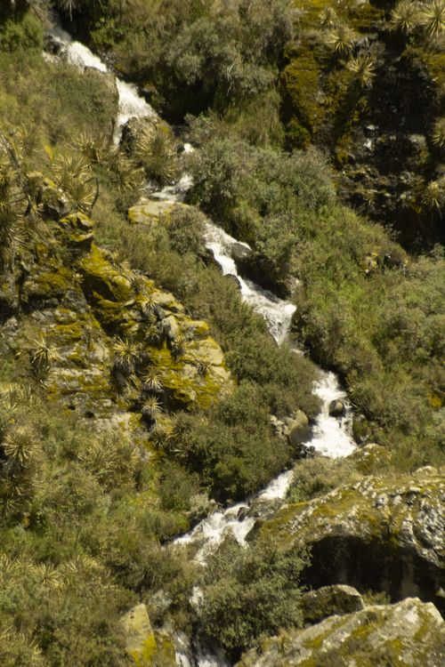 Free Lush greenery and rock formations with a cascading waterfall in a picturesque natural setting. Stock Photo