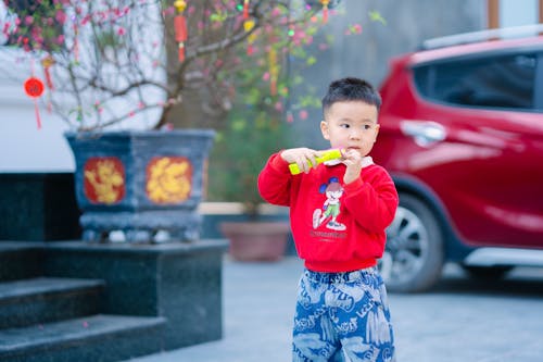 セレクティブフォーカス, 子, 幼年期の無料の写真素材