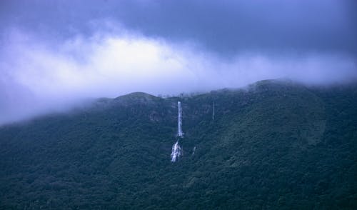 Foto d'estoc gratuïta de bosc, cascada, cel cinematogràfic