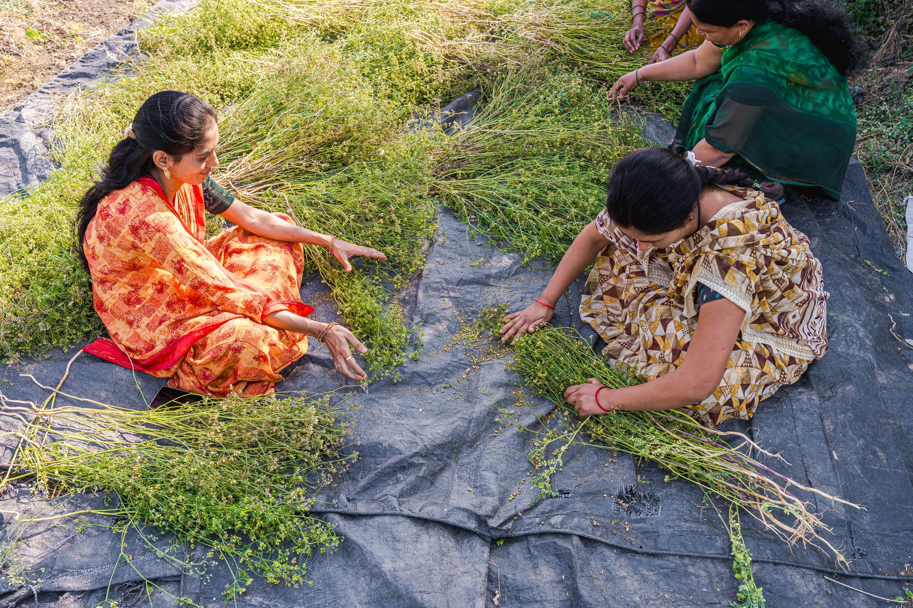 Payal Shah on Building Sustainable Startups Beyond the Hype