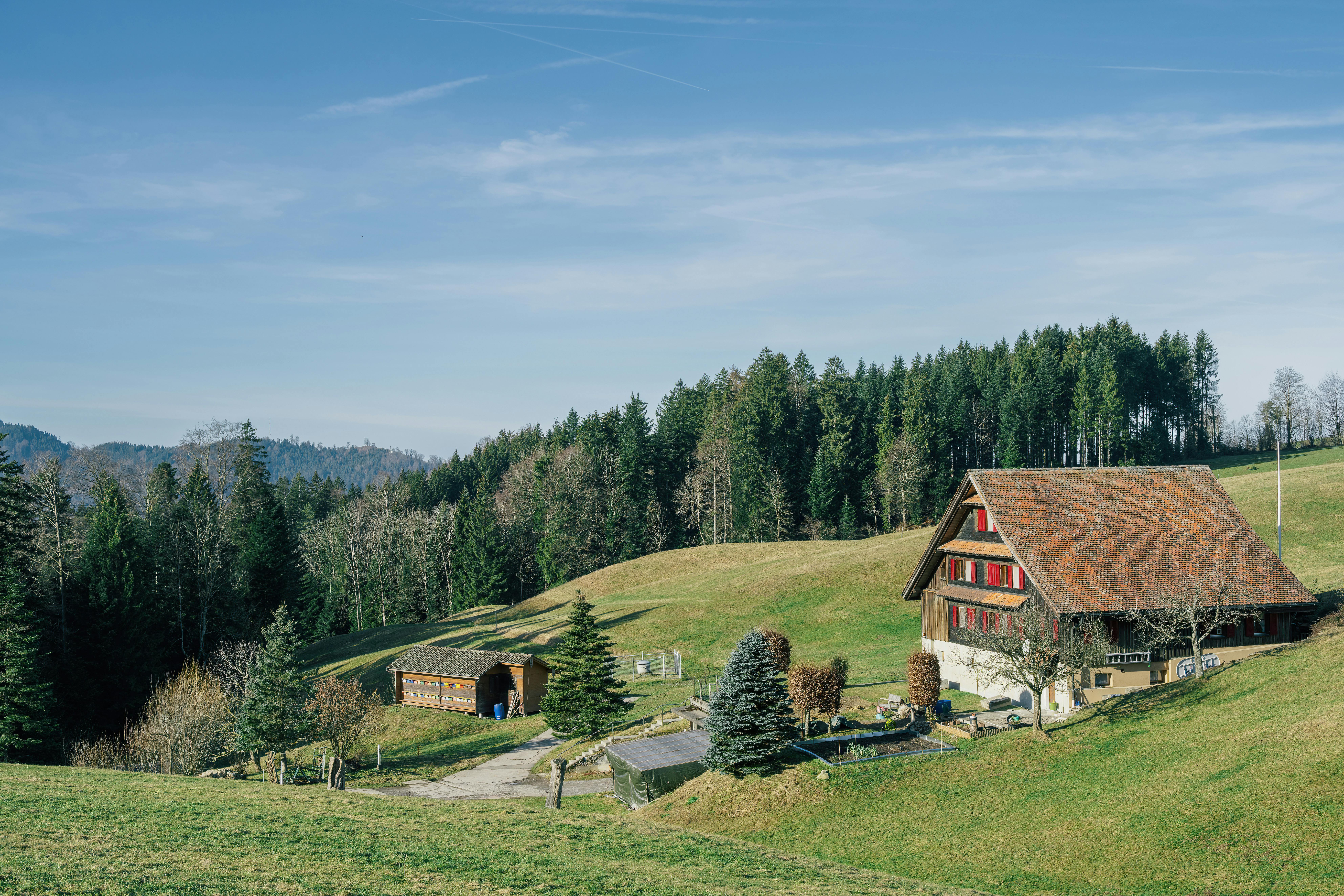 Photos gratuites de agricole, arbres, architecture