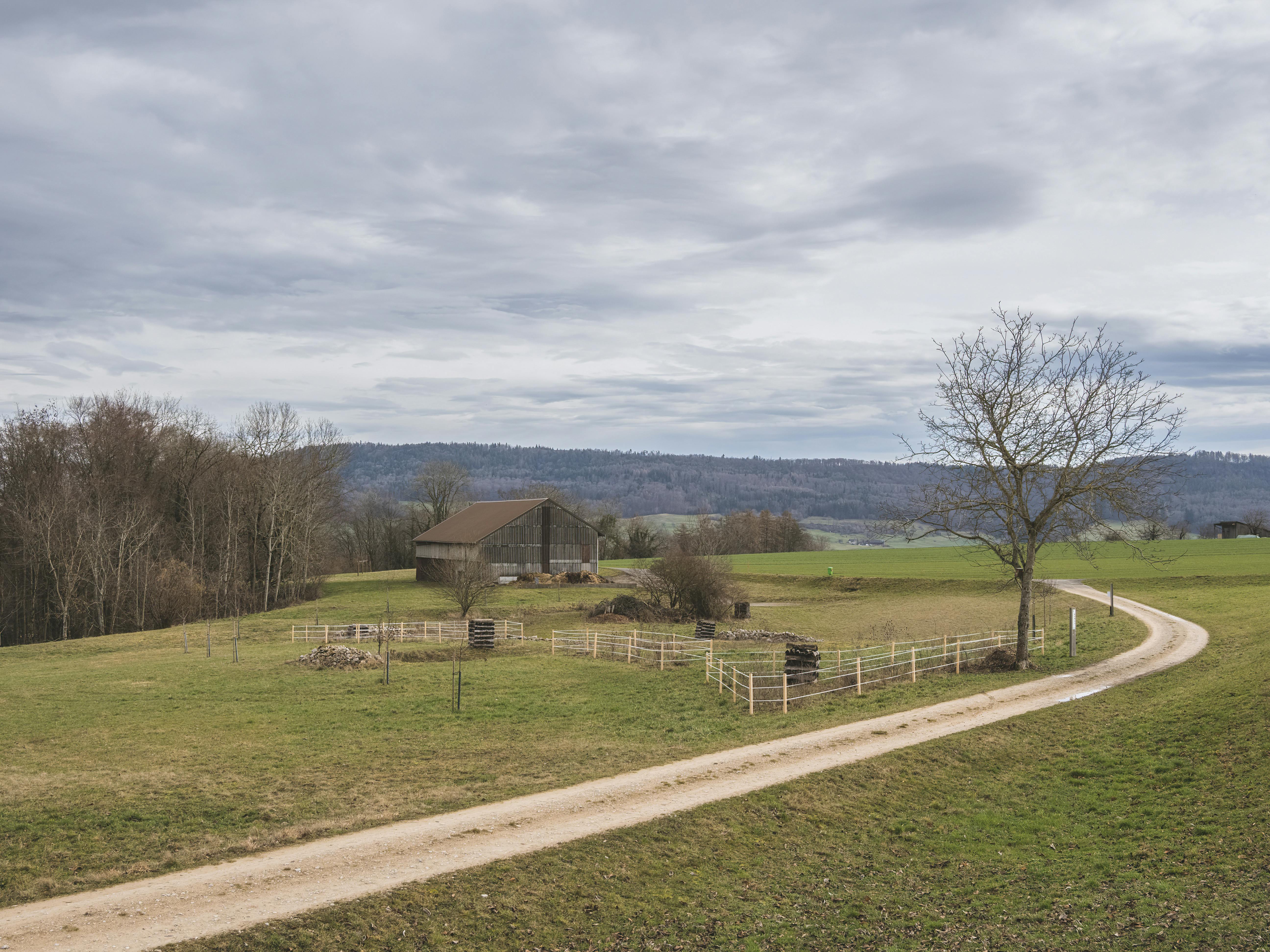 1. Menguak Potensi Tersembunyi Pedesaan: Bukan Sekadar Lahan, Tapi Peluang Emas