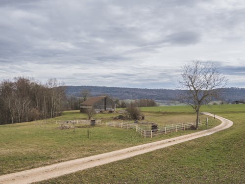 Gratis lagerfoto af fægte, gård, grusvej