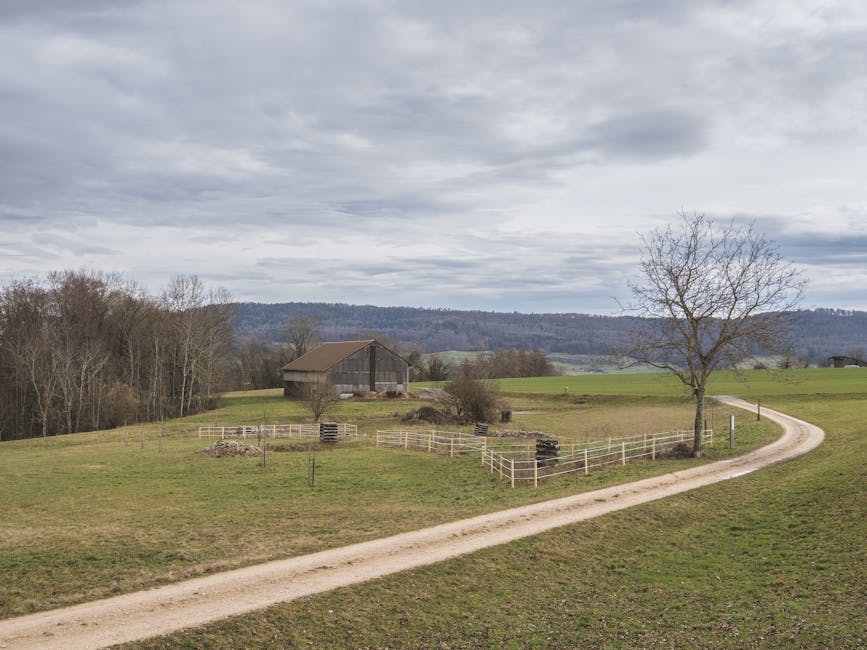 1. Menguak Potensi Tersembunyi Pedesaan: Bukan Sekadar Lahan, Tapi Peluang Emas 1. Menguak Potensi Tersembunyi Pedesaan: Bukan Sekadar Lahan, Tapi Peluang Emas