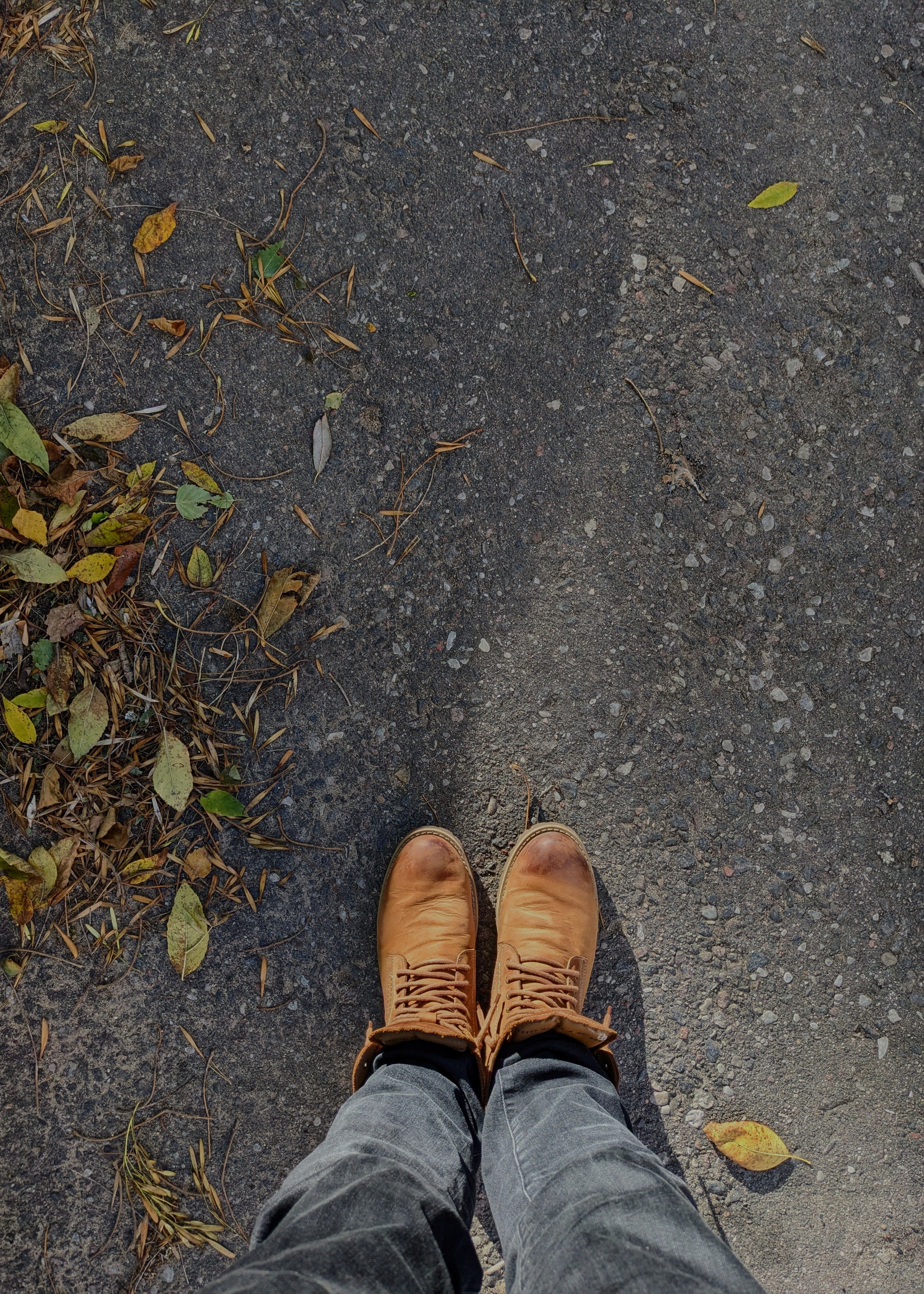 Brown leather ankle boots
