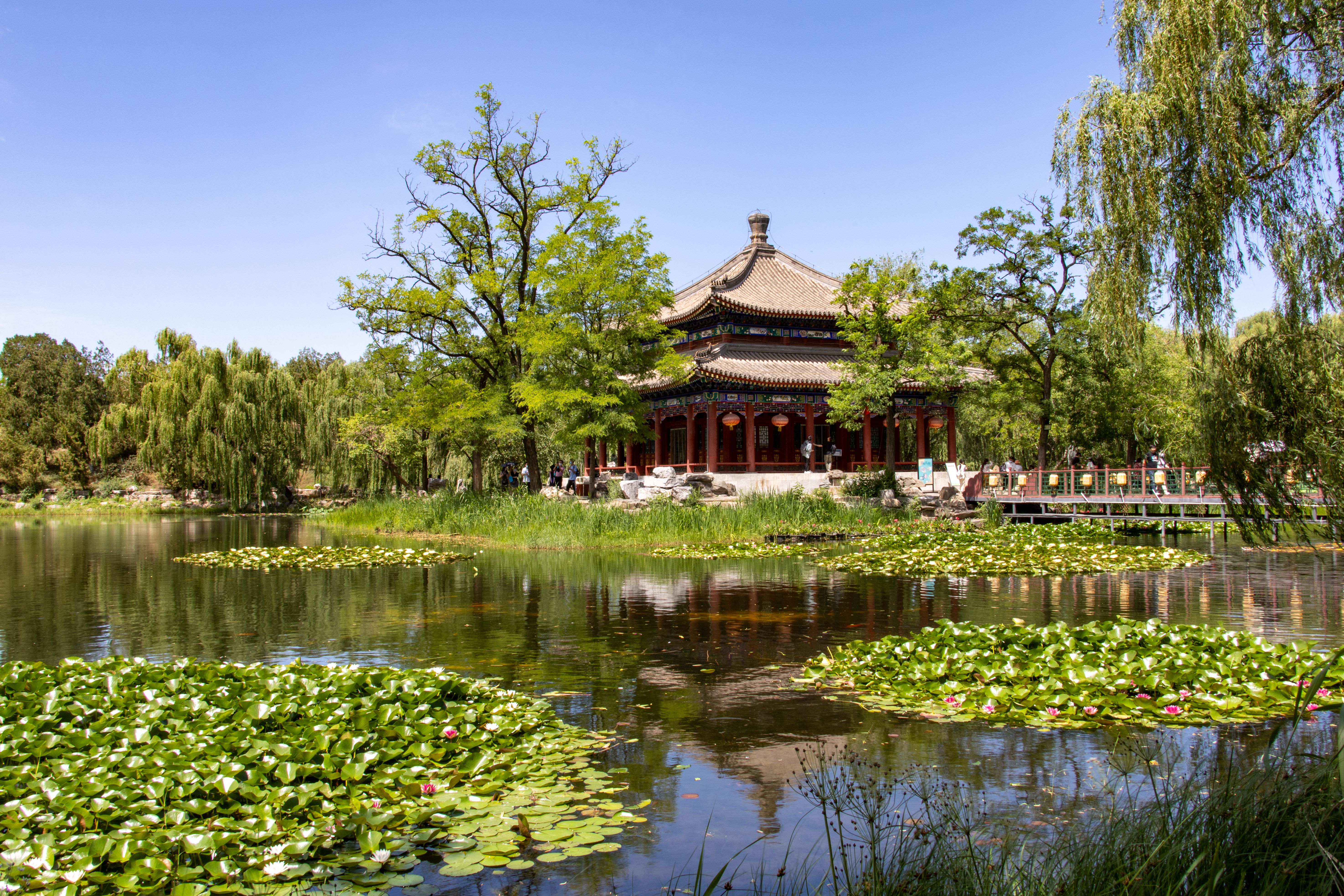 Summer Palace & Old Summer Palace Guide: What to See, Best Routes & Historical Context