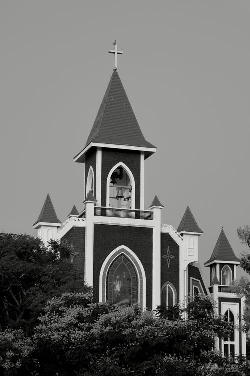 Free Monochrome image of a church bell tower surrounded by trees, featuring Gothic architecture. Stock Photo