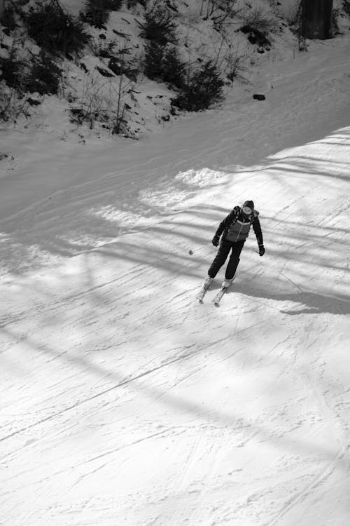 Ilmainen kuvapankkikuva tunnisteilla hiihtäjä, hiihtäminen, lomalla