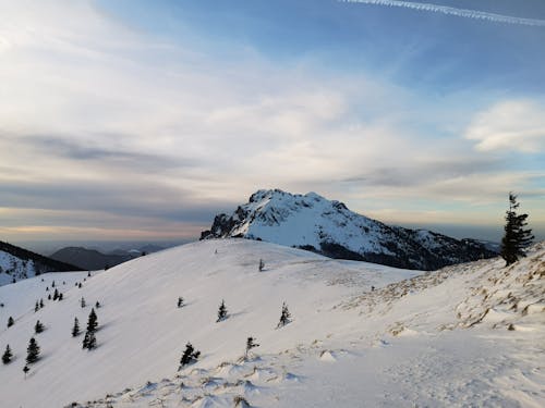 丘陵, 冬季, 冷 的 免費圖庫相片