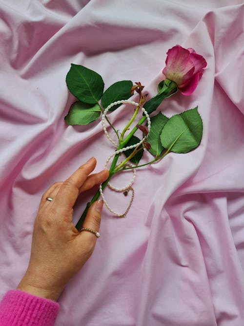 Gratis lagerfoto af blomst, hænder menneskelige hænder, halskæde