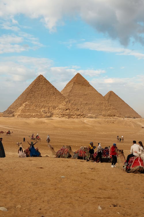 Безкоштовне стокове фото на тему «велика піраміда гізи, верблюди, вертикальні постріл»