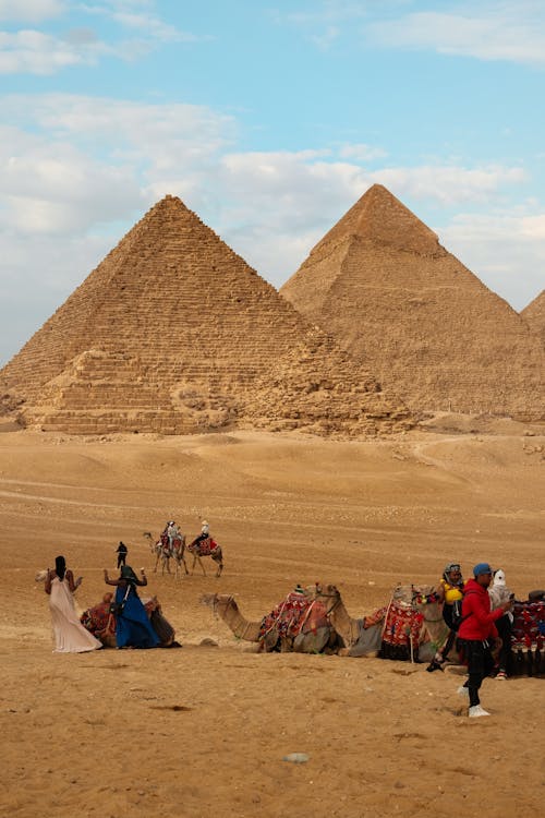 Безкоштовне стокове фото на тему «cairo, верблюди, вертикальні постріл»