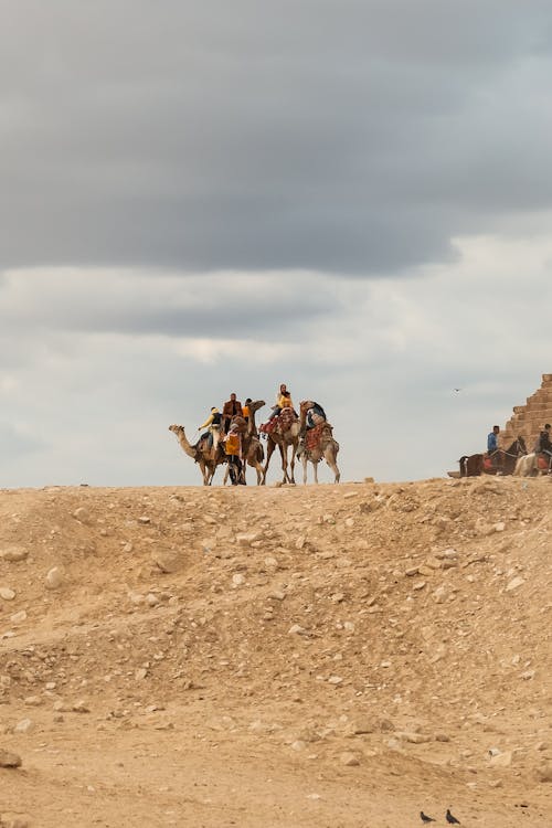 People on Camels on Desert