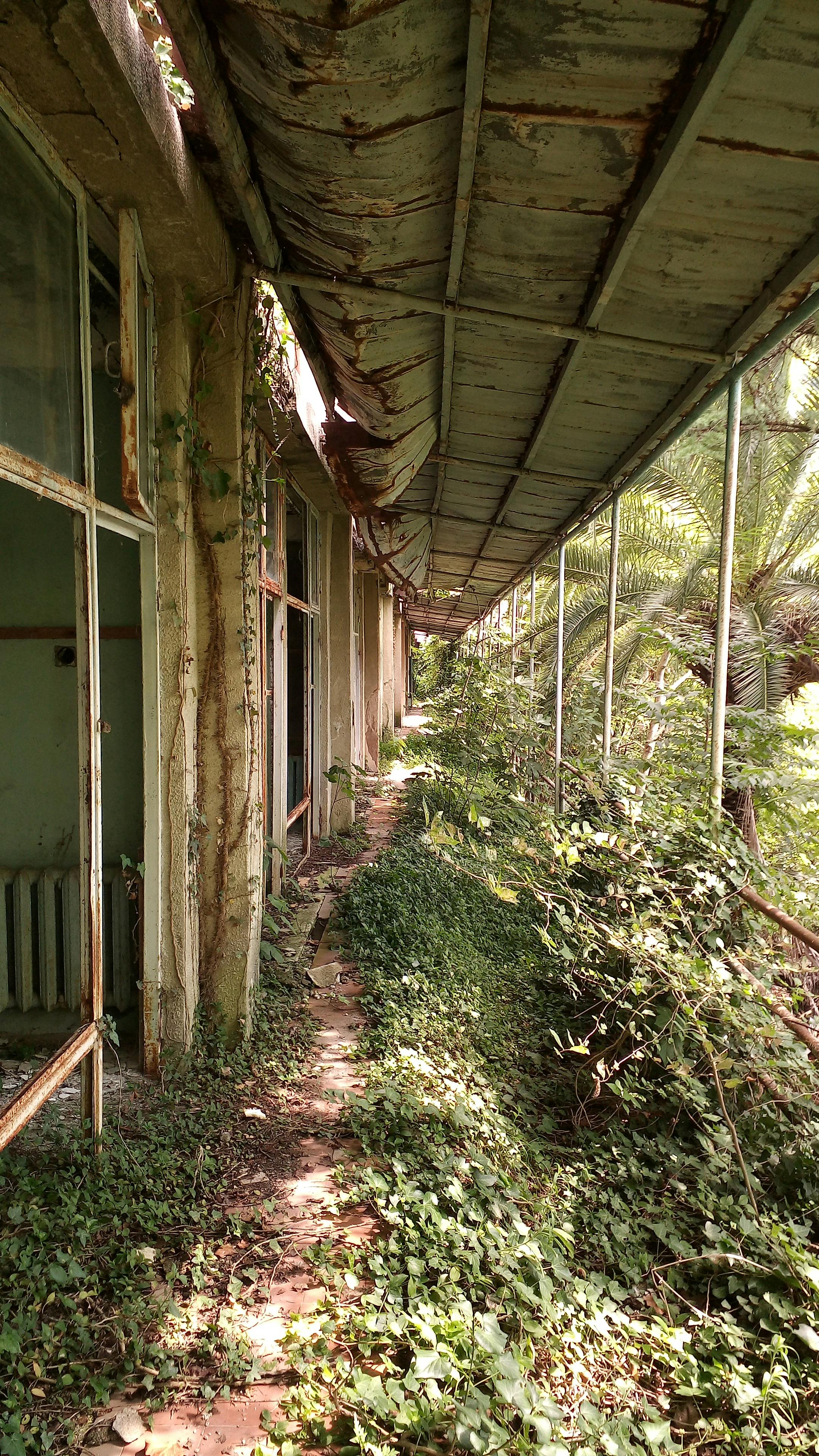 Abandoned building overtaken by ivy and vegetation, showcasing decay and nature's resilience.