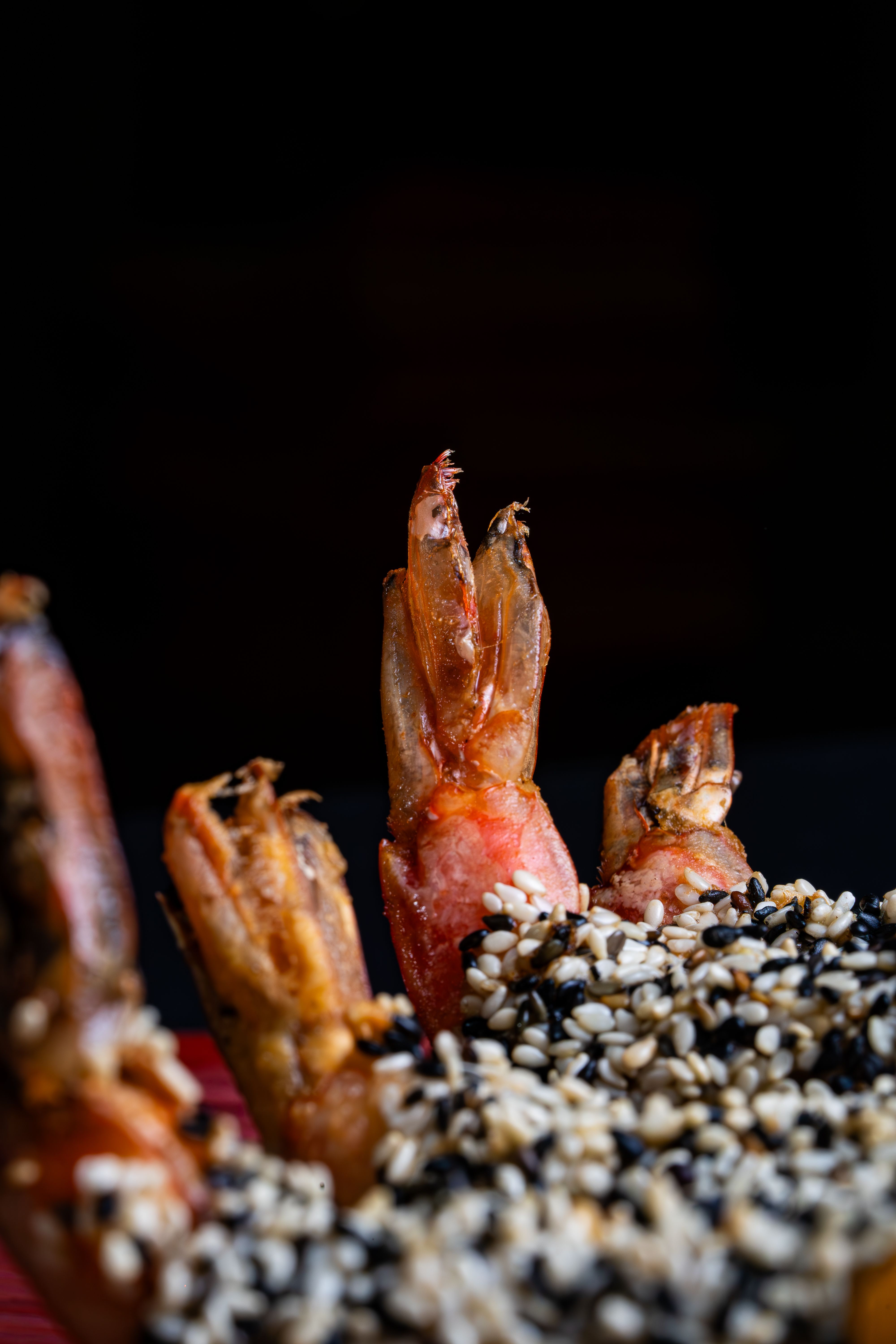 Close-up of sesame-crusted shrimp, a flavorful seafood appetizer.