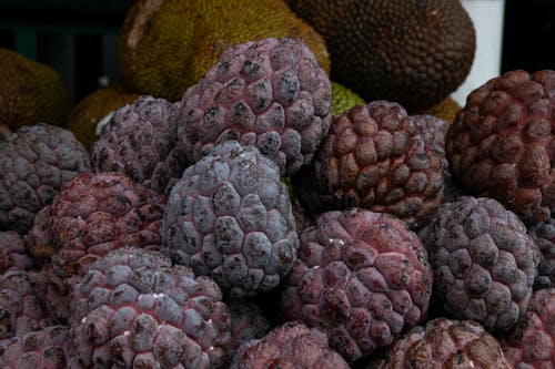 Tropical Fruits