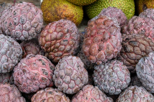 Tropical Fruits