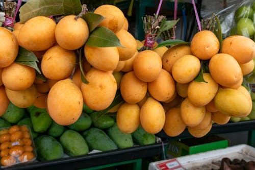 Tropical Fruits