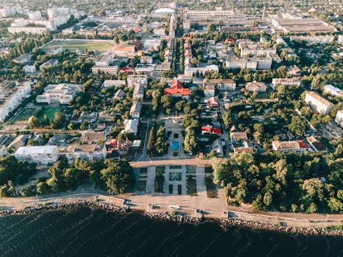 Trees and Buildings in City