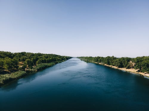 Clear Sky over River in Forest