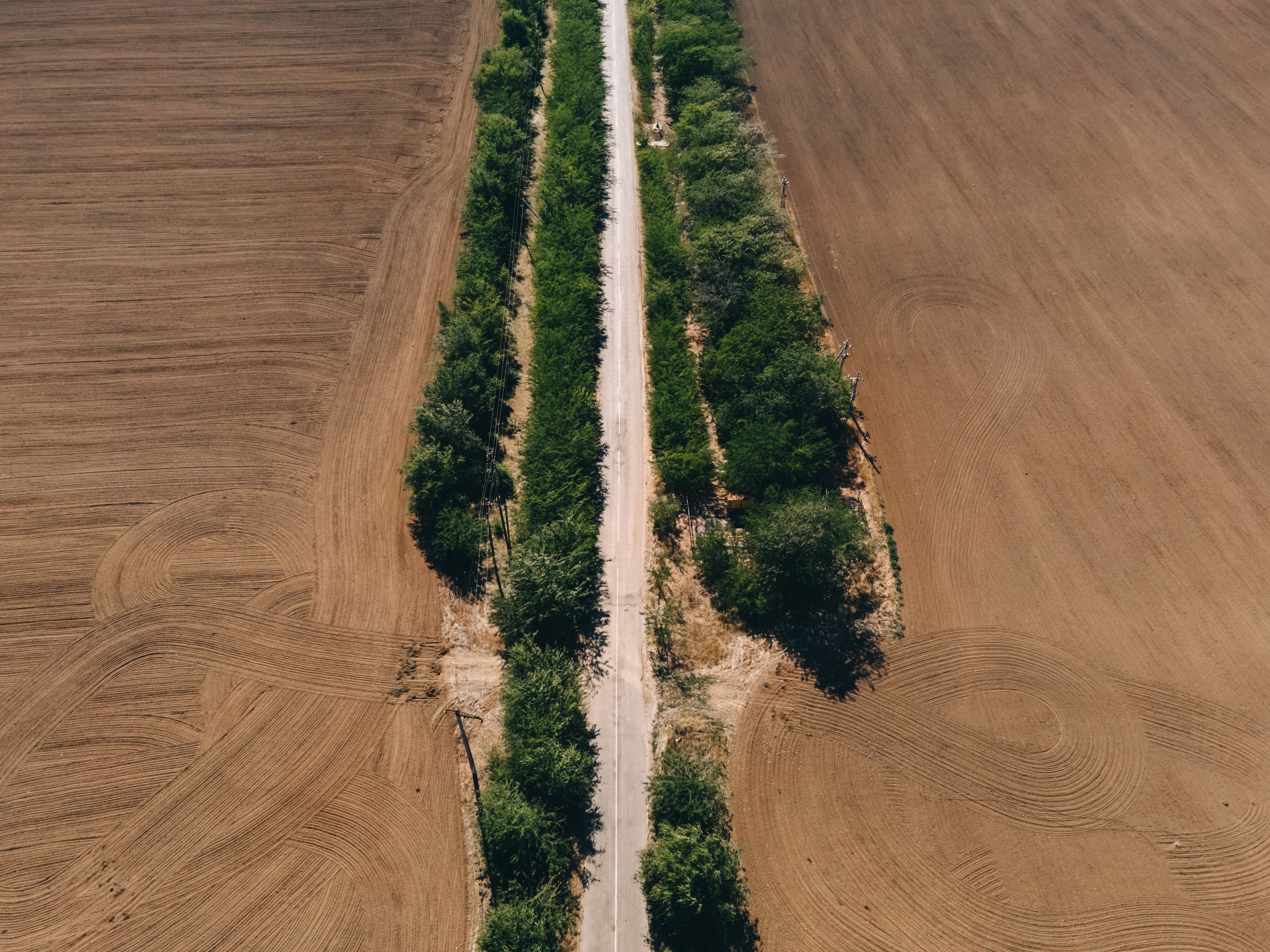 Stunning aerial view of a rural road flanked by plowed fields and trees.