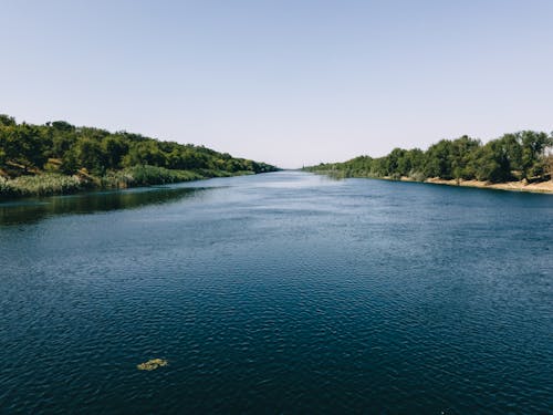 A river with trees and water in the middle