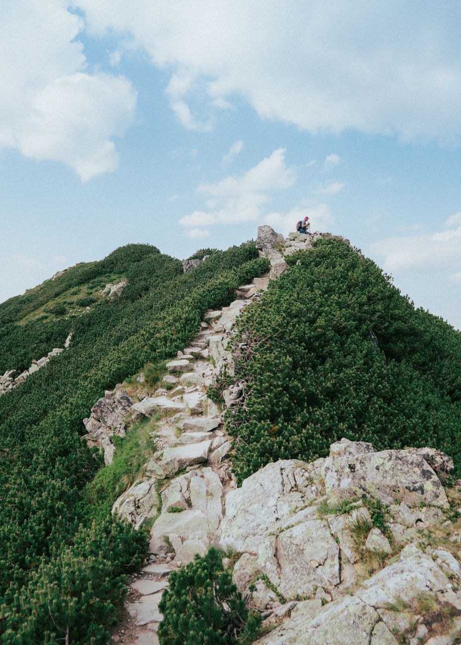 A rocky mountain trail leads to a scenic view in Zakopane, Poland, perfect for hiking enthusiasts.