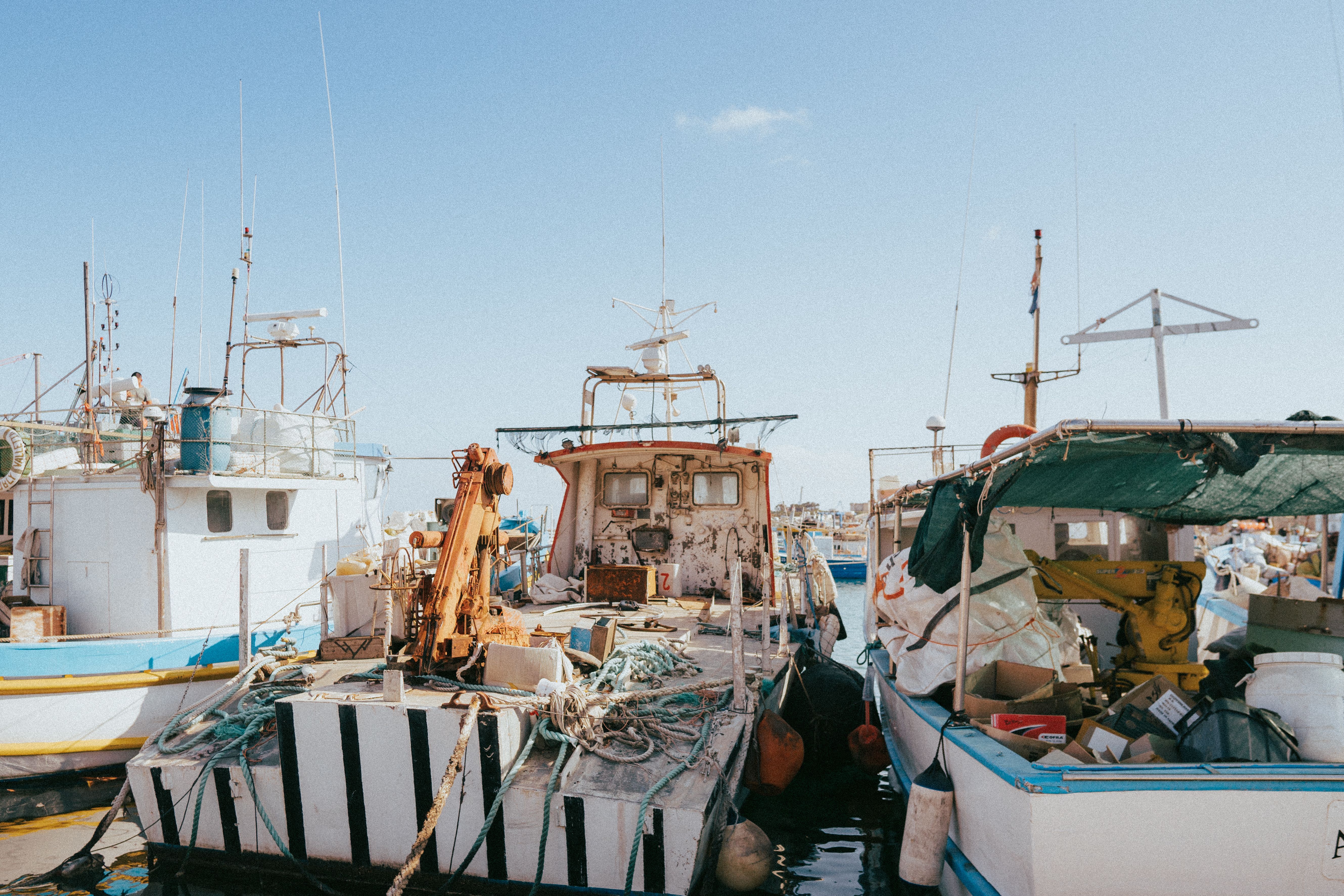 Fishing fleet at harbor