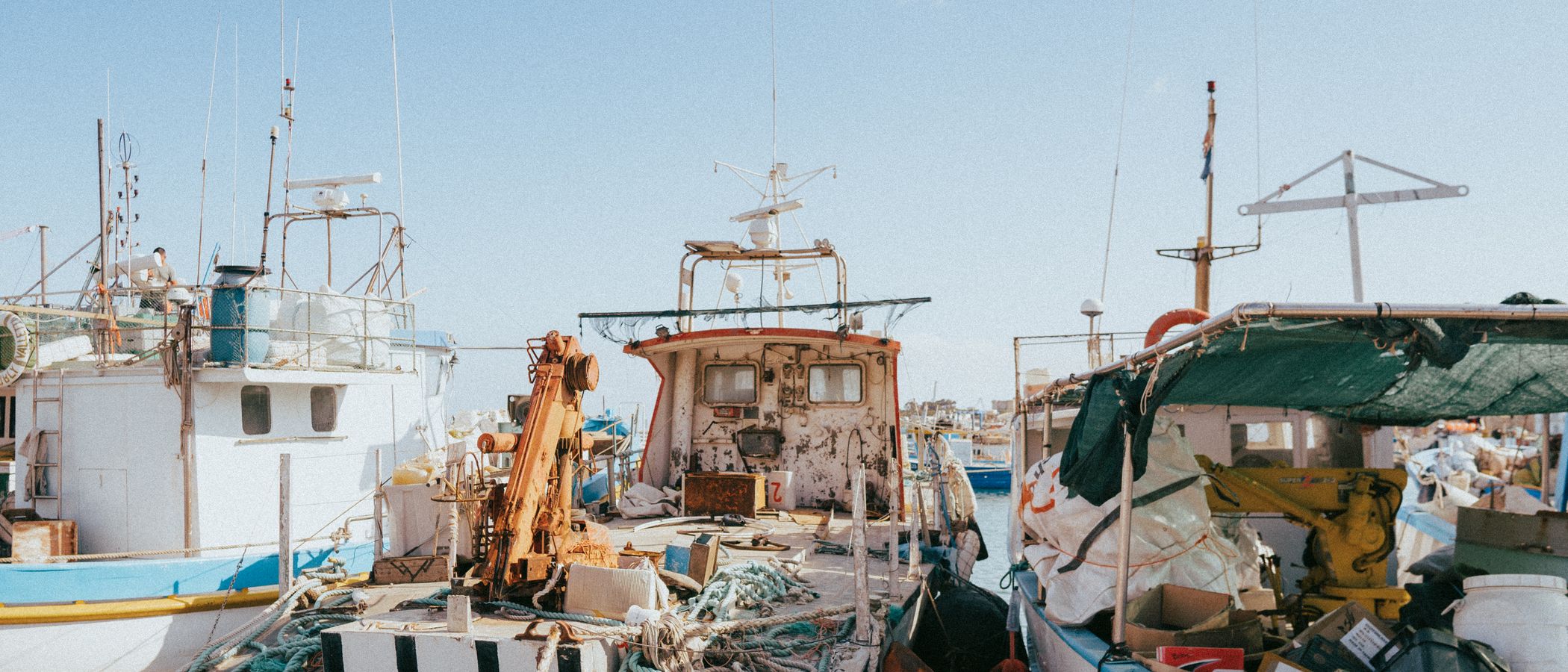 Fishing fleet at harbor