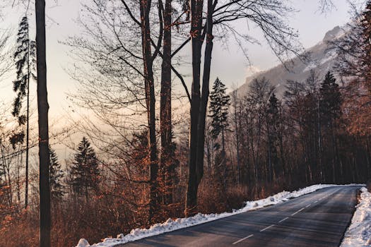 冬季，蜿蜒穿过法国夏蒙尼森林的道路风景